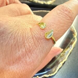 Anel 2 Folhas no Ouro Amarelo 18k